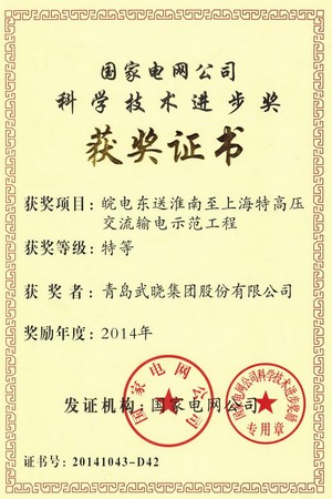 科学技术进步奖-国网公司